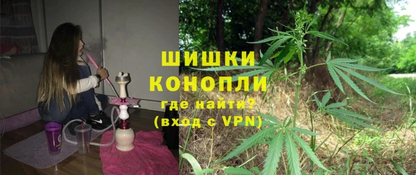 ПСИЛОЦИБИНОВЫЕ ГРИБЫ Алексин