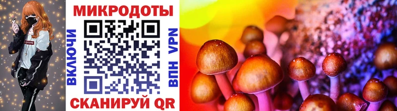 Галлюциногенные грибы MAGIC MUSHROOMS Железногорск-Илимский