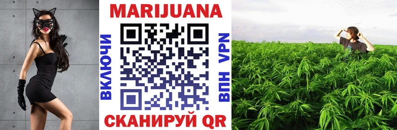 цены наркотик  Железногорск-Илимский  Бошки марихуана сатива 